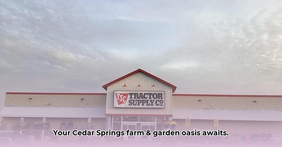 tractor-supply-cedar-springs